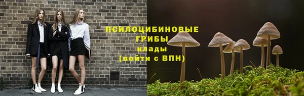 сатива Баксан