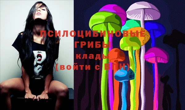 сатива Баксан