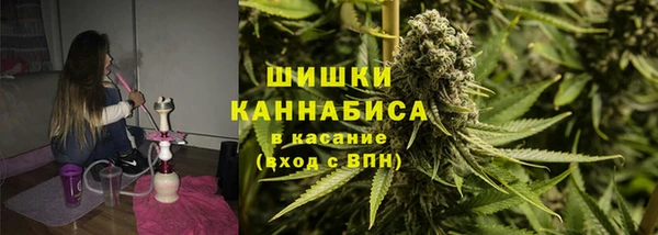сатива Баксан