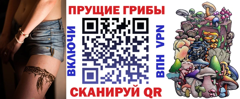 цена   блэк спрут как зайти  Галлюциногенные грибы мухоморы  Бежецк 